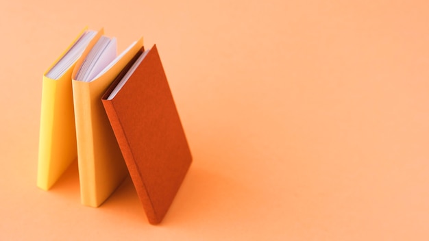 中医对胆的论述